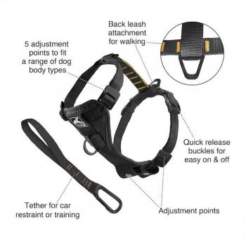 Kurgo Tru Fit Smart Harness (incl. Seat Belt Tether) Black Gr. M